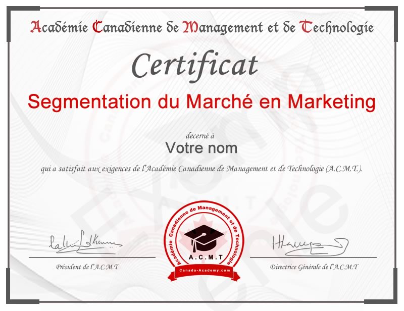Meilleur certificat en Segmentation du Marché en marketing